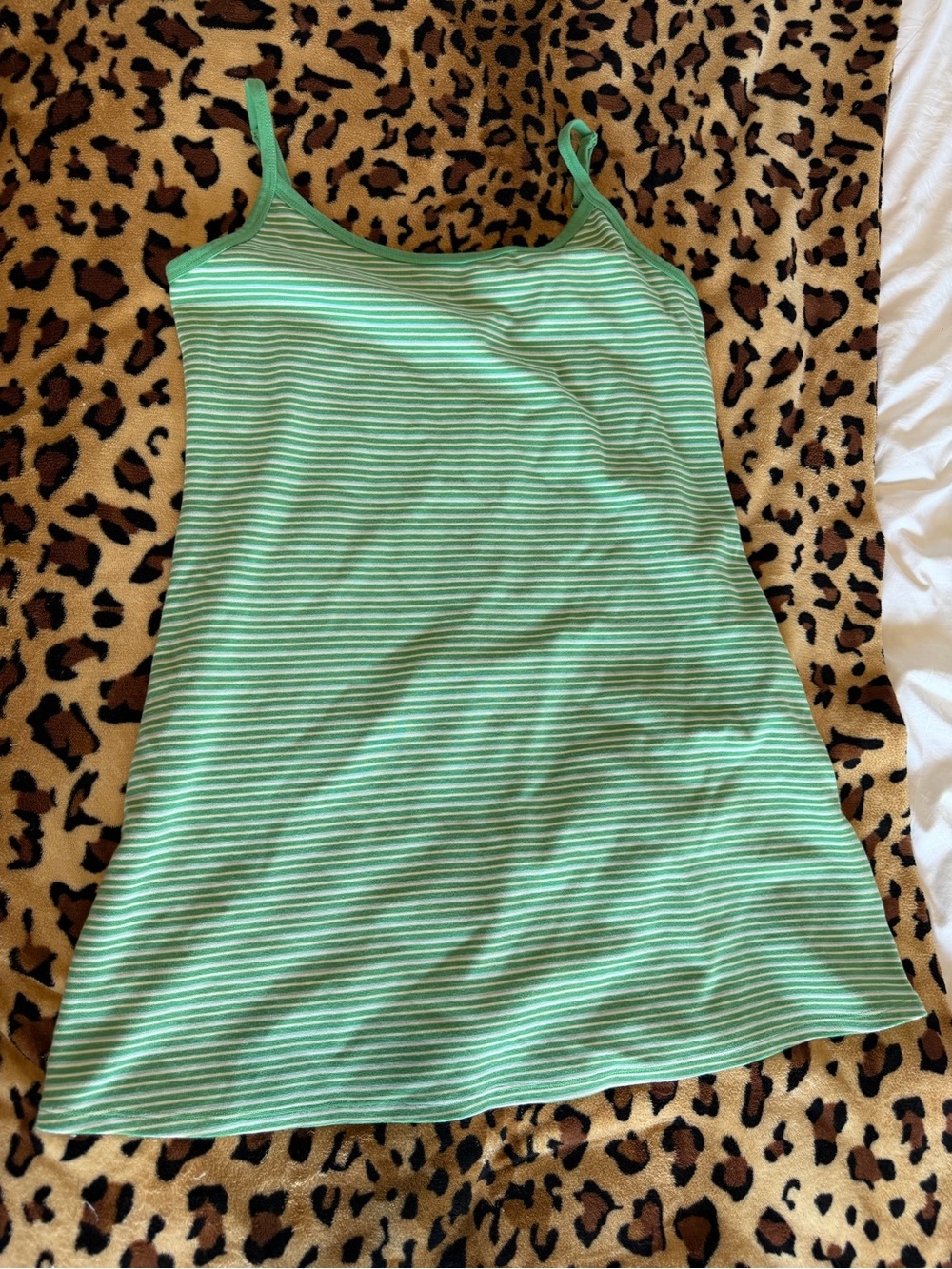 American Eagle Outfitters Mint Green and White Striped Mini Dress